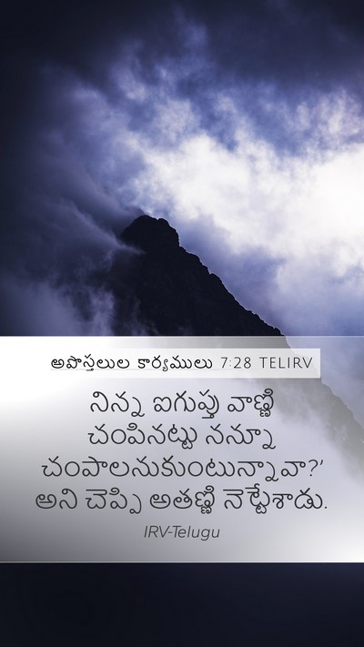అపొస్తలుల కార్యములు 7:28 TELIRV Bible Verse Image
