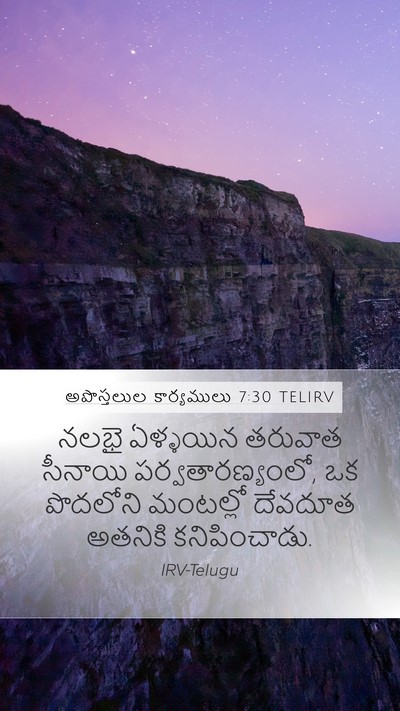 అపొస్తలుల కార్యములు 7:30 TELIRV Bible Verse Image