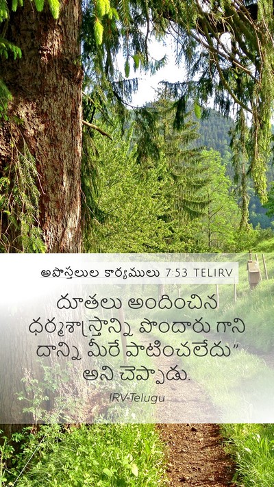 అపొస్తలుల కార్యములు 7:53 TELIRV Bible Verse Image
