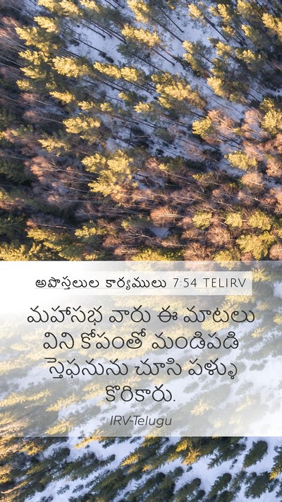 అపొస్తలుల కార్యములు 7:54 TELIRV Bible Verse Image