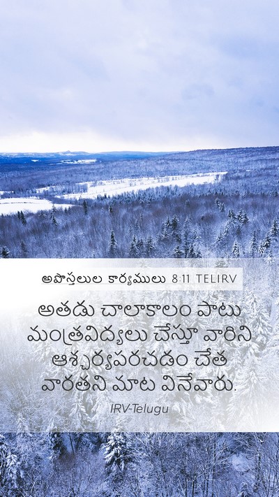 అపొస్తలుల కార్యములు 8:11 TELIRV Bible Verse Image