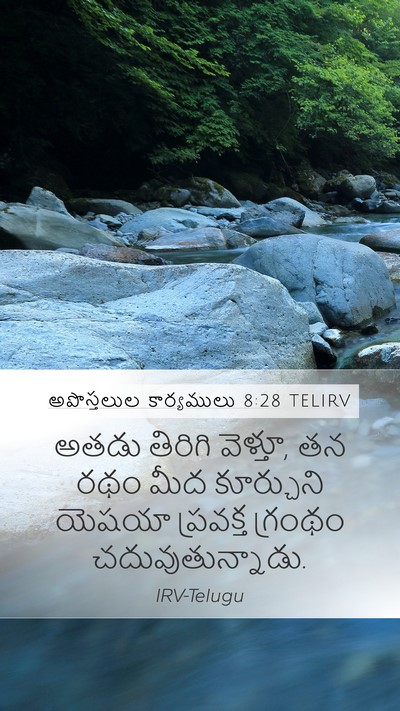 అపొస్తలుల కార్యములు 8:28 TELIRV Mobile Phone Wallpaper - అతడు తిరిగి - Mobile Bible Verse Wallpaper
