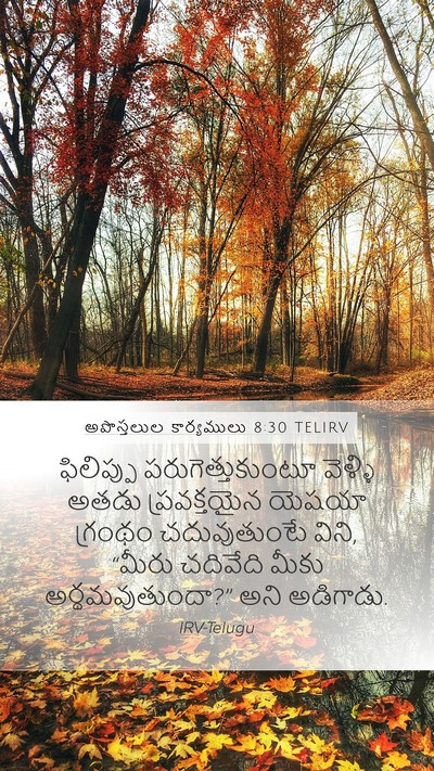 అపొస్తలుల కార్యములు 8:30 TELIRV Bible Verse Image