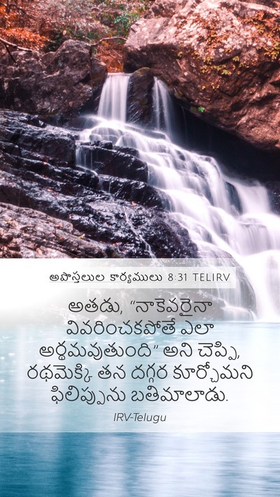 అపొస్తలుల కార్యములు 8:31 TELIRV Bible Verse Image