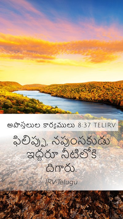 అపొస్తలుల కార్యములు 8:37 TELIRV Mobile Phone Wallpaper - ఫిలిప్పు, - Mobile Bible Verse Wallpaper