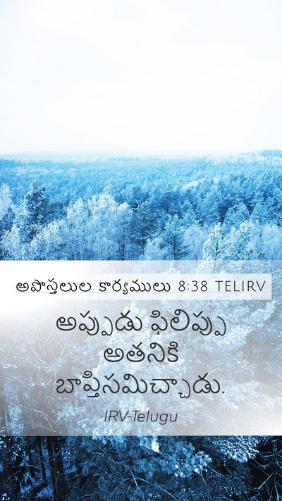 అపొస్తలుల కార్యములు 8:38 TELIRV Mobile Phone Wallpaper - అప్పుడు ఫిలిప్పు - Mobile Bible Verse Wallpaper