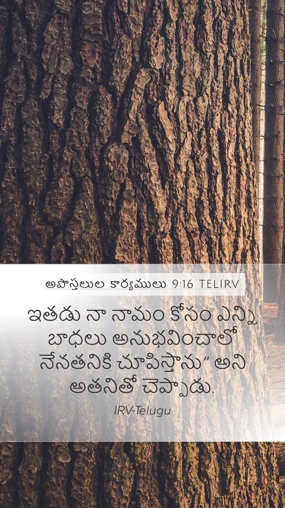 అపొస్తలుల కార్యములు 9:16 TELIRV Bible Verse Image