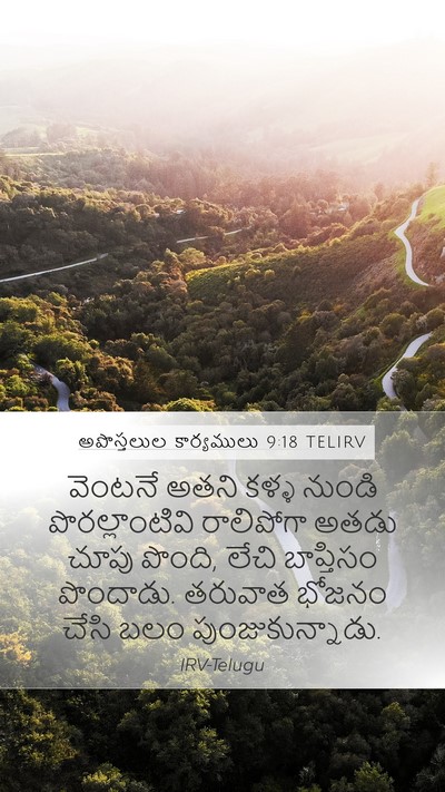 అపొస్తలుల కార్యములు 9:18 TELIRV Bible Verse Image