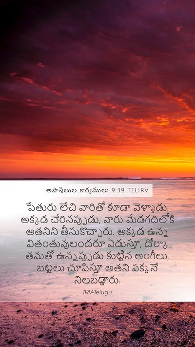 అపొస్తలుల కార్యములు 9:39 TELIRV Bible Verse Image