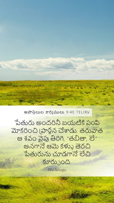 అపొస్తలుల కార్యములు 9:40 TELIRV Bible Verse Image
