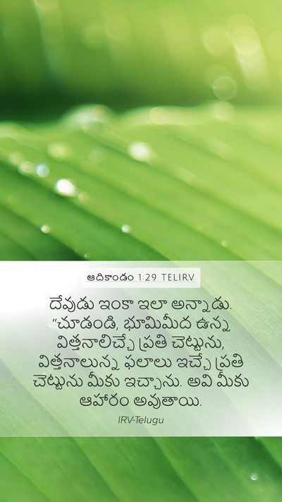 ఆదికాండం 1:29 TELIRV Bible Verse Image