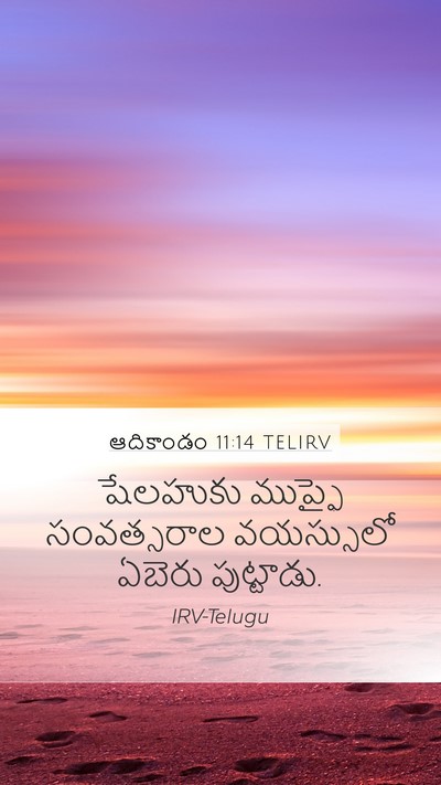 ఆదికాండం 11:14 TELIRV Mobile Phone Wallpaper - షేలహుకు ముప్ఫై - Mobile Bible Verse Wallpaper