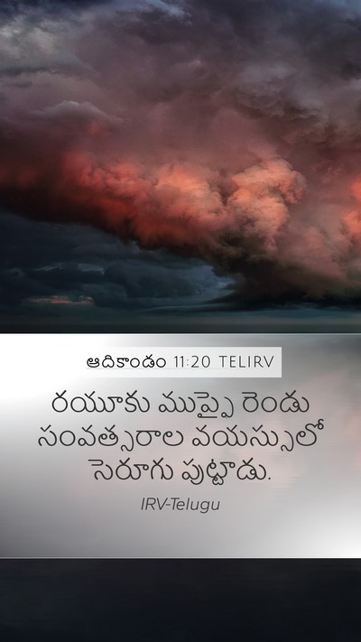 ఆదికాండం 11:20 TELIRV Mobile Phone Wallpaper - రయూకు ముప్ఫై - Mobile Bible Verse Wallpaper
