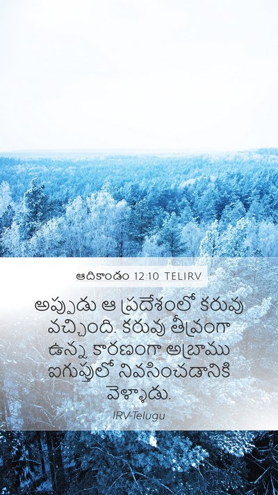 ఆదికాండం 12:10 TELIRV Bible Verse Image