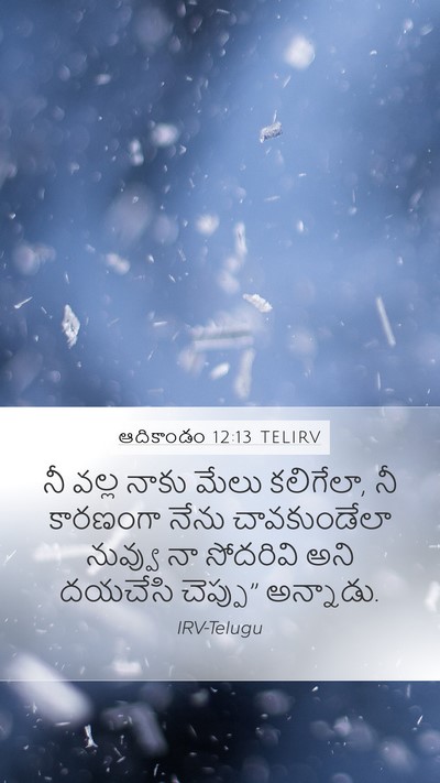 ఆదికాండం 12:13 TELIRV Bible Verse Image