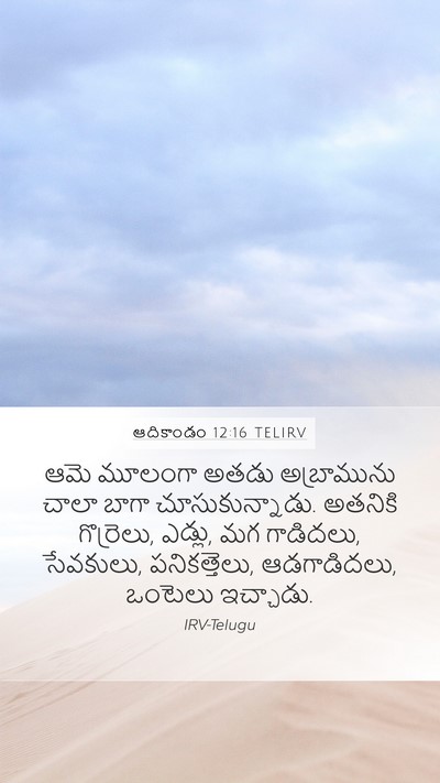 ఆదికాండం 12:16 TELIRV Bible Verse Image