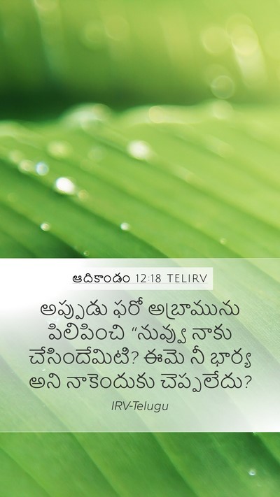 ఆదికాండం 12:18 TELIRV Bible Verse Image