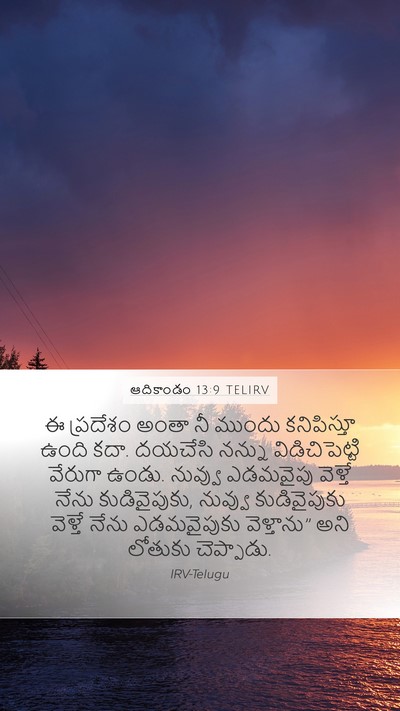 ఆదికాండం 13:9 TELIRV Bible Verse Image