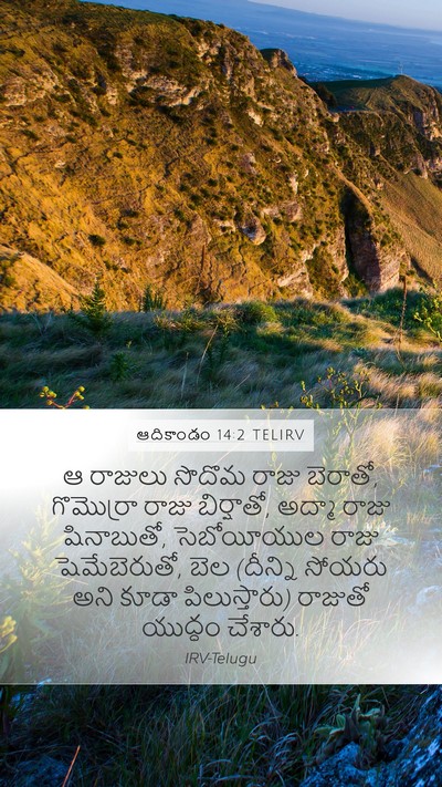 ఆదికాండం 14:2 TELIRV Bible Verse Image