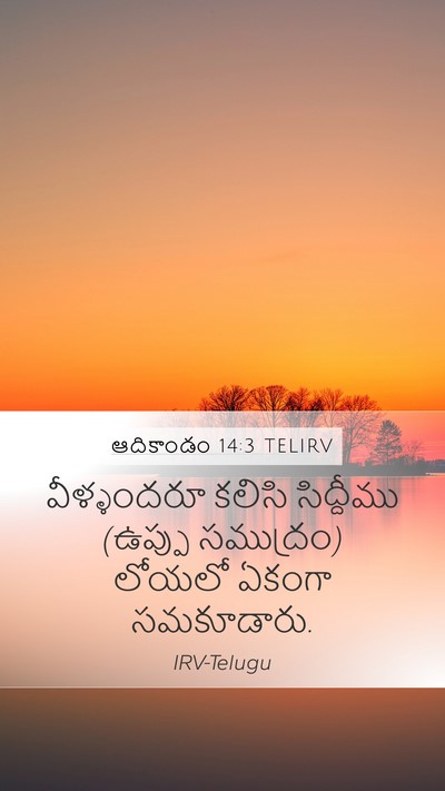 ఆదికాండం 14:3 TELIRV Bible Verse Image
