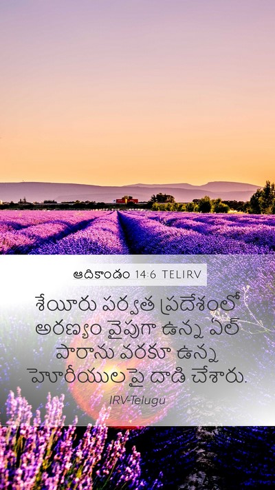 ఆదికాండం 14:6 TELIRV Bible Verse Image