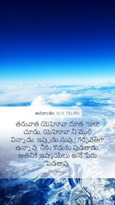 ఆదికాండం 16:11 TELIRV Bible Verse Image