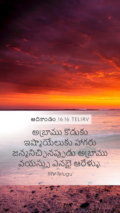 ఆదికాండం 16:16 TELIRV Mobile Phone Wallpaper - అబ్రాము కొడుకు - Mobile Bible Verse Wallpaper