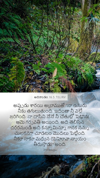 ఆదికాండం 16:5 TELIRV Bible Verse Image