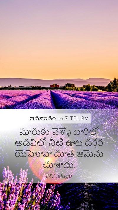 ఆదికాండం 16:7 TELIRV Mobile Phone Wallpaper - షూరుకు వెళ్ళే - Mobile Bible Verse Wallpaper