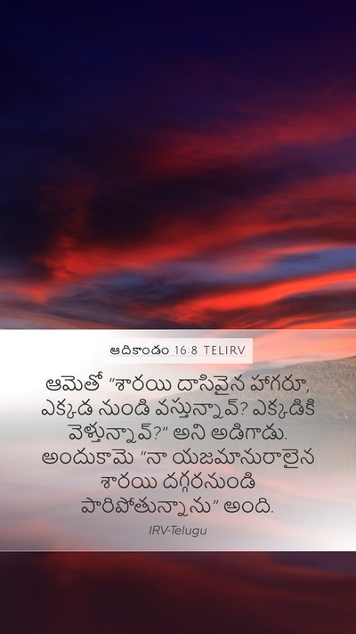 ఆదికాండం 16:8 TELIRV Bible Verse Image