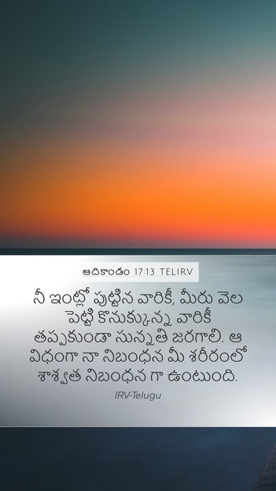 ఆదికాండం 17:13 TELIRV Bible Verse Image