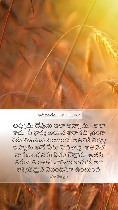 ఆదికాండం 17:19 TELIRV Bible Verse Image