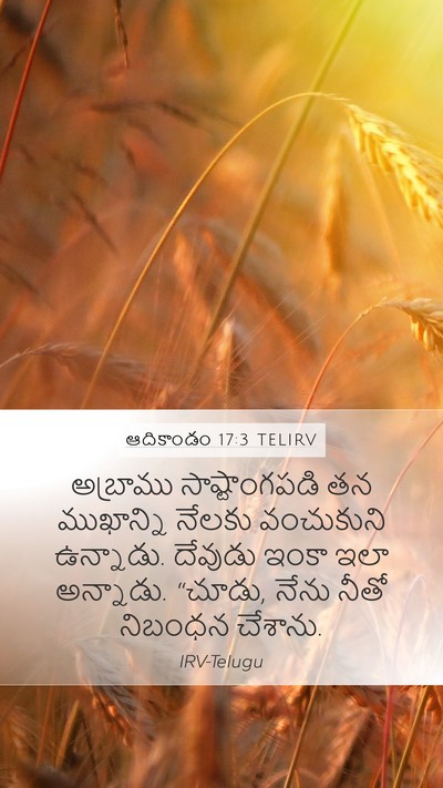 ఆదికాండం 17:3 TELIRV Bible Verse Image