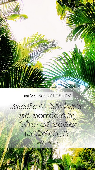 ఆదికాండం 2:11 TELIRV Mobile Phone Wallpaper - మొదటిదాని పేరు - Mobile Bible Verse Wallpaper