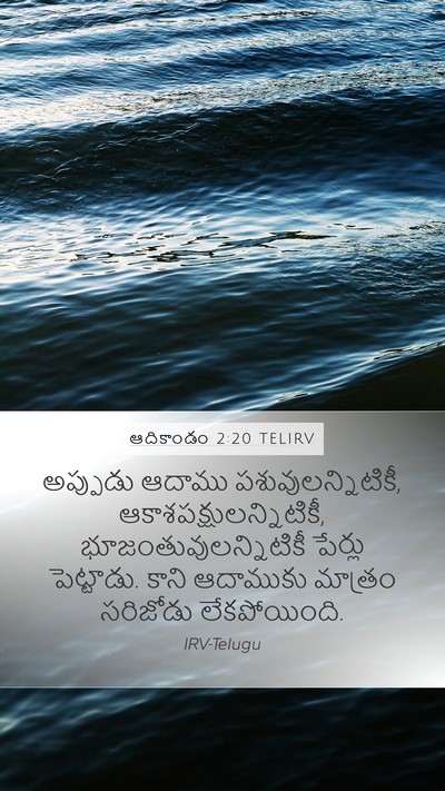 ఆదికాండం 2:20 TELIRV Bible Verse Image