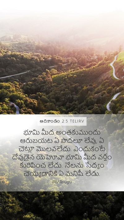 ఆదికాండం 2:5 TELIRV Mobile Phone Wallpaper - భూమి మీద - Mobile Bible Verse Wallpaper