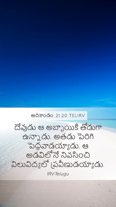 ఆదికాండం 21:20 TELIRV Bible Verse Image