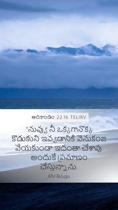 ఆదికాండం 22:16 TELIRV Bible Verse Image