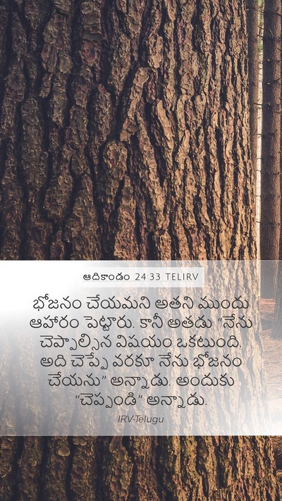 ఆదికాండం 24:33 TELIRV Bible Verse Image
