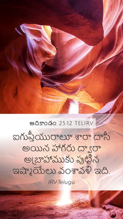 ఆదికాండం 25:12 TELIRV Bible Verse Image