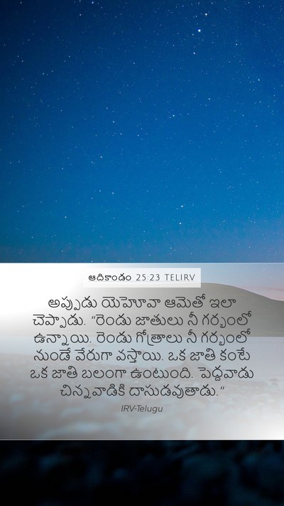 ఆదికాండం 25:23 TELIRV Bible Verse Image