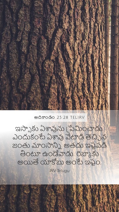 ఆదికాండం 25:28 TELIRV Bible Verse Image