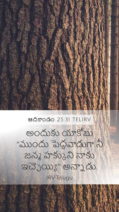 ఆదికాండం 25:31 TELIRV Bible Verse Image
