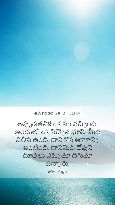 ఆదికాండం 28:12 TELIRV Bible Verse Image