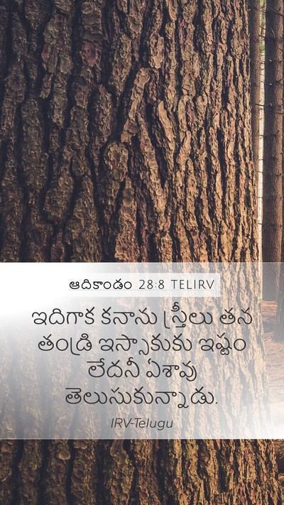 ఆదికాండం 28:8 TELIRV Bible Verse Image