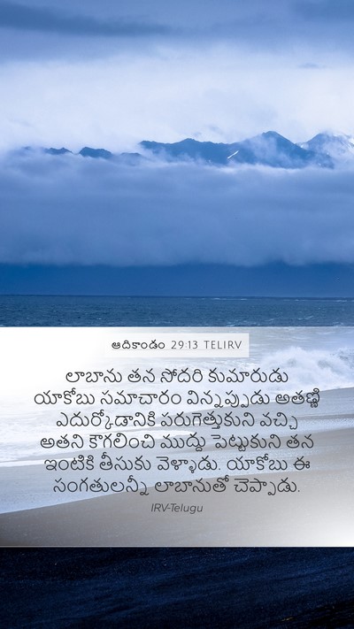 ఆదికాండం 29:13 TELIRV Bible Verse Image