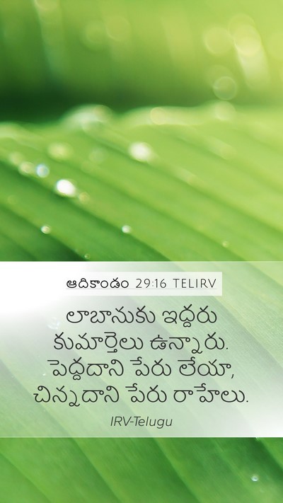 ఆదికాండం 29:16 TELIRV Mobile Phone Wallpaper - లాబానుకు ఇద్దరు - Mobile Bible Verse Wallpaper