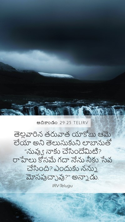 ఆదికాండం 29:25 TELIRV Bible Verse Image