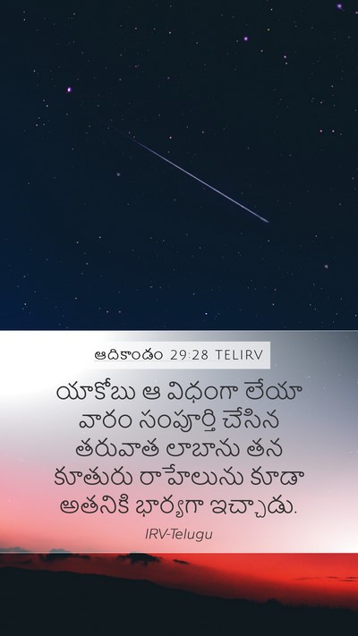 ఆదికాండం 29:28 TELIRV Bible Verse Image