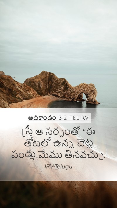 ఆదికాండం 3:2 TELIRV Mobile Phone Wallpaper - స్త్రీ ఆ సర్పంతో - Mobile Bible Verse Wallpaper
